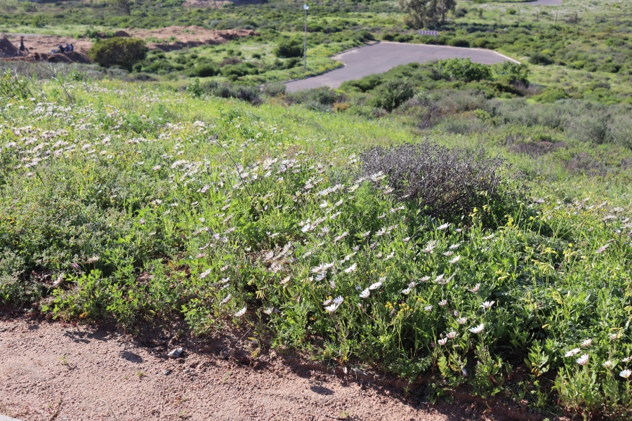 0 Bedroom Property for Sale in Steenbergs Cove Western Cape
